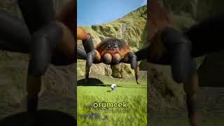 Oe Arkadaşın Şaka Olsun Diye Örümceğe Dönüşürse