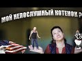 БОЛЬНОЙ ЗУБ ПОЛОЖИЛ НА АМБИЦИИ КРУТОГО МУЖИКА!