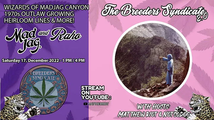 Breeders Syndicate 2.0 - The House of Madjag, with...