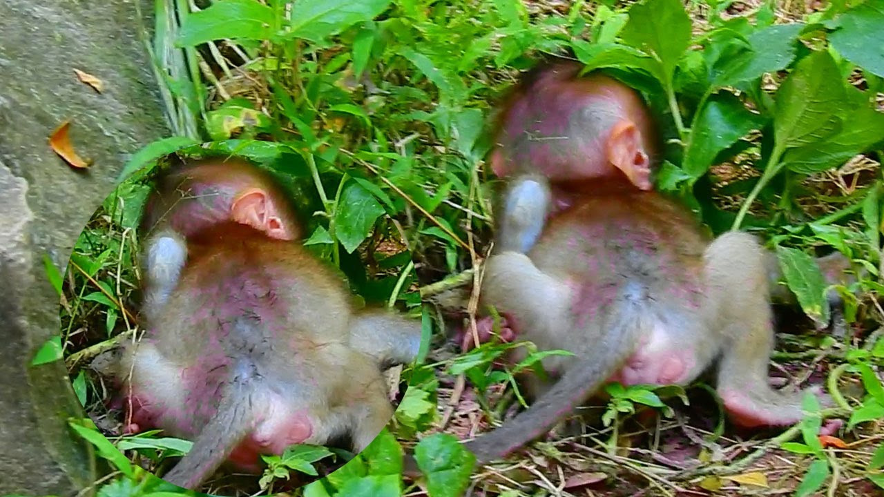 Baby Falls, When She Runs To Her Mother YouTube