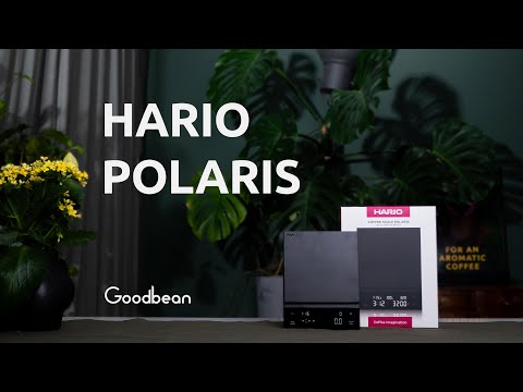 Hario Polaris -