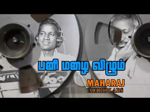பனி மழை விழும்| எனக்காக காத்திரு | Pani mazai vizum | Enakkaga kathiru | 1981