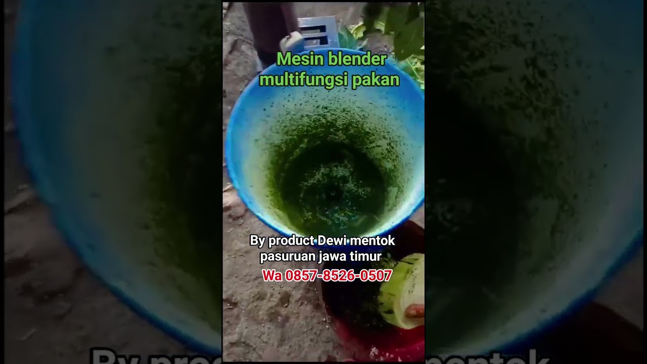 MESIN BLENDER MULTIFUNGSI PAKAN TERNAK⁉️