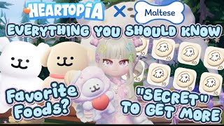 HEARTOPIA | MALTESE EVENT GUIDE + MALTESE FAVORITE FOODS AND SECRET TO GET MORE MALTESE TOKENS