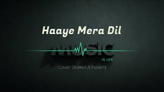 Haye Mera Dil (Flute Version) Remix | Slowed & Reverb | Music Notes