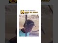 #funny #memengakakkocak #comedy #prank #lucu #humor
