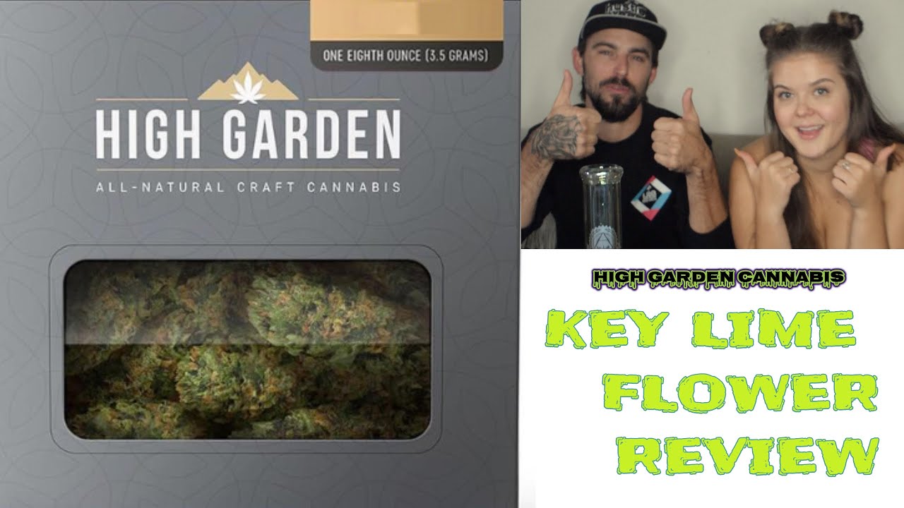 Key Lime Cannabis Strain Review