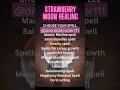 Book your healings at ee 666 fullmoon healing candlemagic crystalhealing ritual tarot