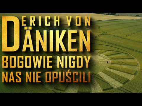 Wideo: Czarny chrząszcz: uporządkowany wysłany z natury