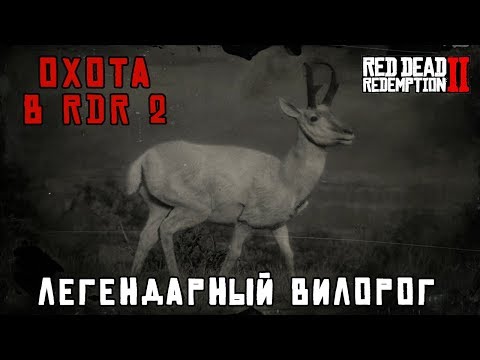 ЛЕГЕНДАРНЫЙ ВИЛОРОГ охота в RDR 2