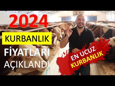 2024 yılı Kurbanlık Fiyatları Kaç Para Oldu.En ucuz büyükbaş hayvan ne kadar.Canlı hayvan ücretleri