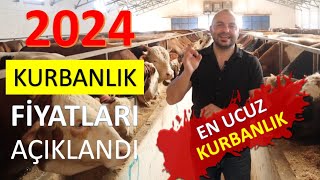 2024 Yılı Kurbanlık Fiyatları Kaç Para Olduen Ucuz Büyükbaş Hayvan Ne Kadarcanlı Hayvan Ücretleri