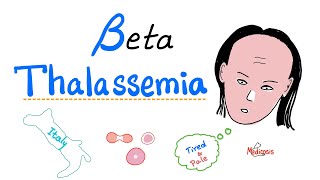 Beta Thalassemia; Causes and Types (minor, major and intermedia).