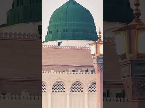 Madina Sharief Islamic Ziyarat Naat Vudeo Short Reel Mecca Mafina Nh Arab City