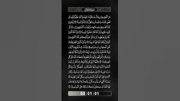 سورة الأحزاب - 04 - الآيات من 23 إلى 30 -  بصوت فضيلة الشيخ - سعيد يوسف شعلان