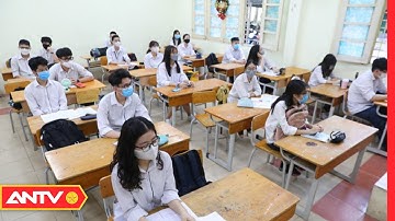 TP.HCM: Học Sinh Sẽ Nghỉ Tết Nguyên Đán 9 Ngày | Tin Tức 24h | ANTV