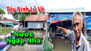 Tây Ninh mùa nước nổi , ngập hết nhà dân ven sông Vàm Cỏ Đông