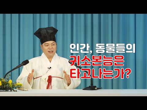 1556강 인간과 동물들의 귀소본능은 모두 타고나는 것일까요 도원 道圓 대학당 강의 