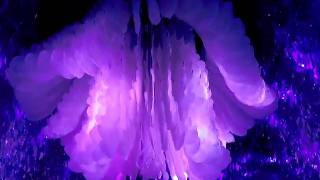 20110427臺北國際花卉博覽會 (18)-夢想館-大廳.序曲-機械花朵「綻放」