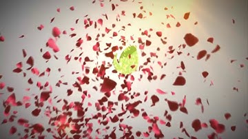 461  - Petals Logo Reveal beauty any colors animations intro