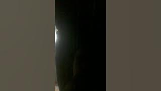 Maseven ikhekhe elibolile