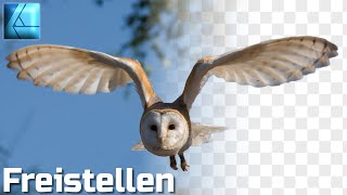 Freistellen / Ausschneiden | Affinity Designer Tutorial Deutsch screenshot 1