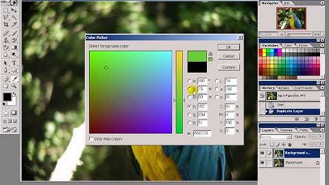Color picker, zabavsa.eu