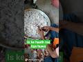 Onion cutting fantastic