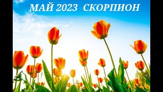 Прогноз на май 2023 Скорпион