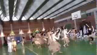 Capoeira Bruxelles, Batizado 2013, Maculele