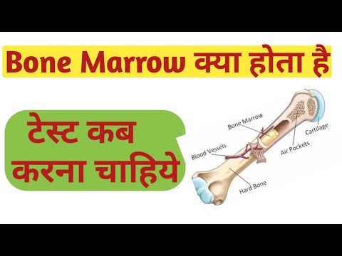 what is bone marrow | Bone marrow test | Bone marrow kya hota hai