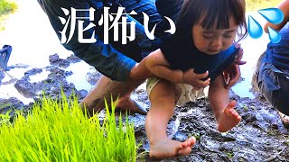 【パパと田植えデート】泥が怖すぎて泣く娘【1歳児】