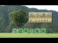 馬学講座ホースアカデミー１　２．当歳馬の疾病