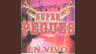 Video thumbnail of "Super Pegues - Xochipitzauc (En Vivo)"