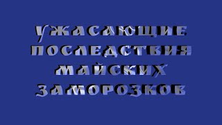 Последствия майских заморозков. Курск. Урожай погиб.