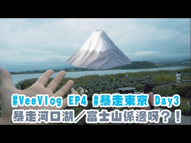 #VeeVlog EP4 #暴走東京 Day3： 暴走河口湖／富士山係邊呀？！