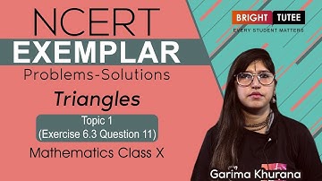 NCERT Exemplar Solutions Class 10 Maths Chapter 6: Triangles Exercise 6.3 Question 11