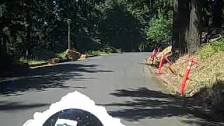 Mt Tabor Adult Soapbox Derby BPC2