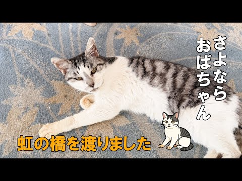 ホテル白い燈台】虹の橋を渡りました／さよなら おばちゃん