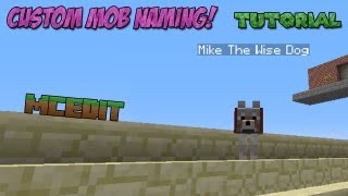 How To Name Mobs | Show Name Over Mobs | Custom NPC Naming | Minecraft
