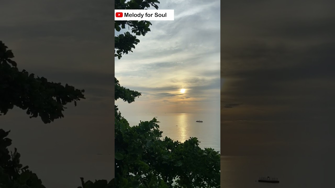 Eliminate the negative energy with the purity of nature invite the positivity into your life.