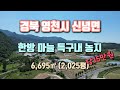 경북 영천시 신녕면 농지 매매