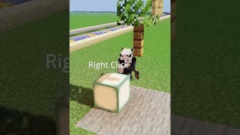 World Edit : how builders build so fast? /br clipboard