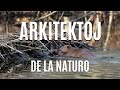 Arkitektoj de la naturo