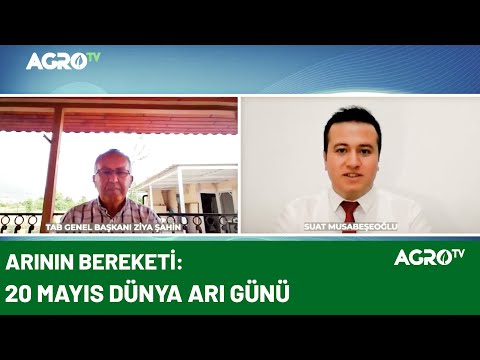 Video: Ev Yapımı Arı Evi: Yerli Tozlayıcılar İçin Arı Yuvalama Kutusu Yapımı