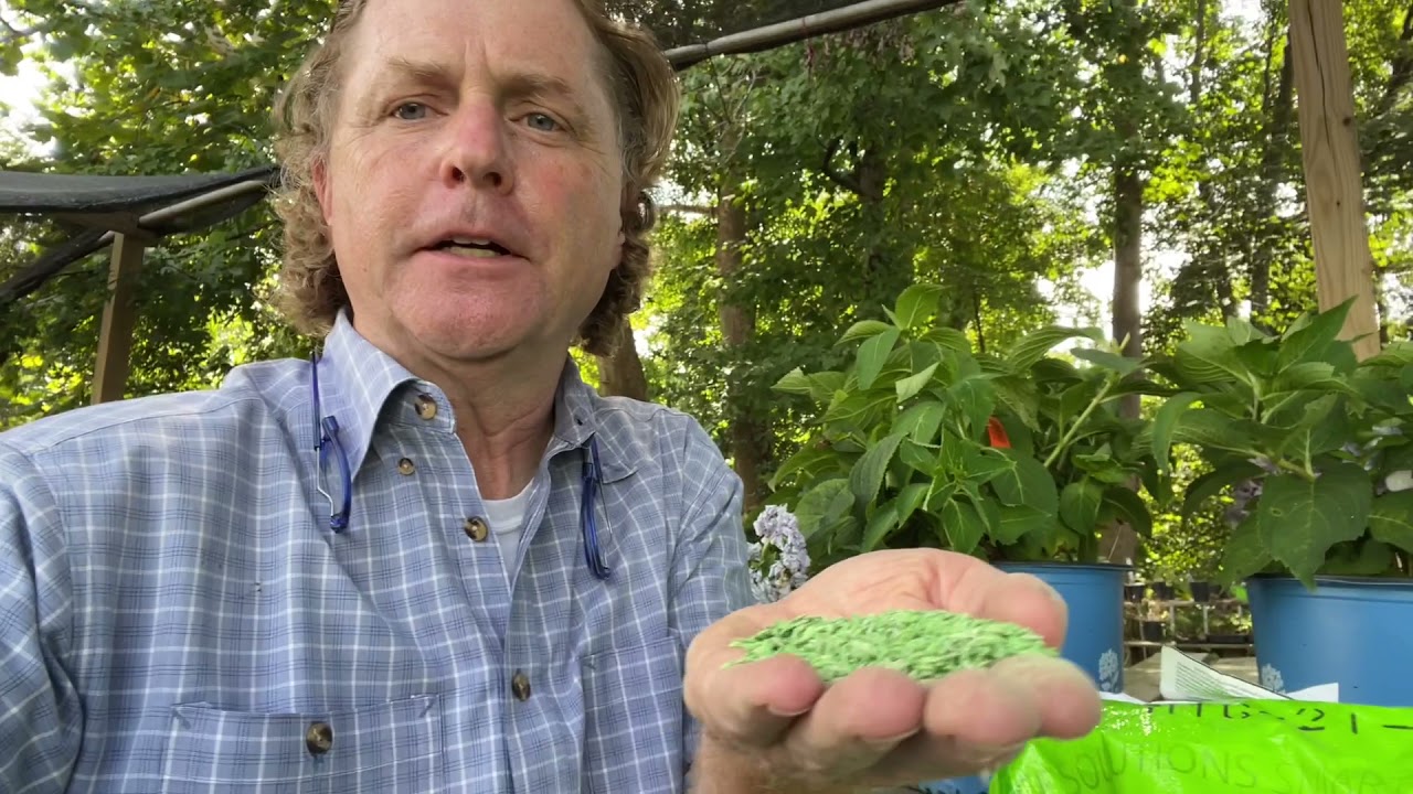What's The Best Seed For Northern Virginia Lawns