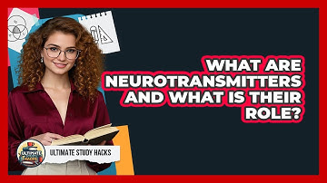 What Are Neurotransmitters And What Is Their Role? - Ultimate Study Hacks