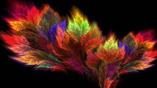 Trichomonas Lis - Cure Healing Rife Frequency