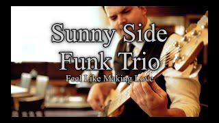 Miniatura del video "Sunny Side Trio - Feel Like Making Love - Künstlervermittlung Stuttgart - Musikkonzepte Thiel"