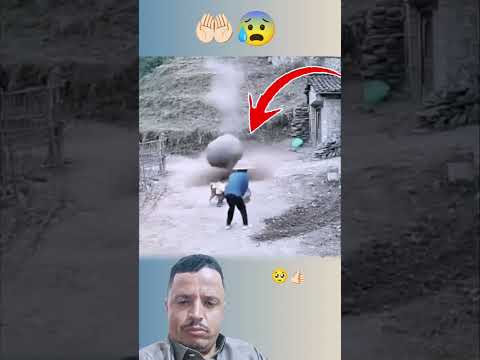 هناك وقت الهلاك الكلب ينقذ ويحمي اطفل حيوانات     